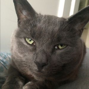 Meet your Posher, Alison